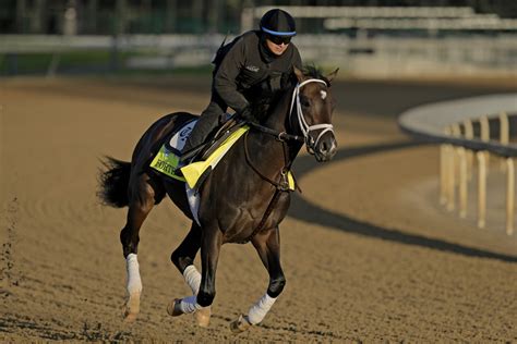 Early Kentucky Derby favorite scratched from race; 18 horses still to run